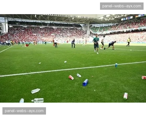 比赛因球迷向场内投掷杂物中断十分钟,主裁判警告将取消比赛