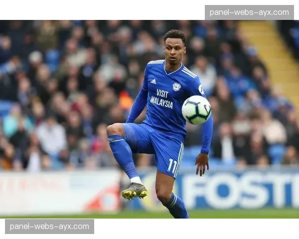 水晶宫0-2负于富勒姆,老帅霍奇森赛后坦言球队缺乏斗志 水晶宫0-2负于富勒姆,老帅霍奇森赛后坦言球队缺乏斗志