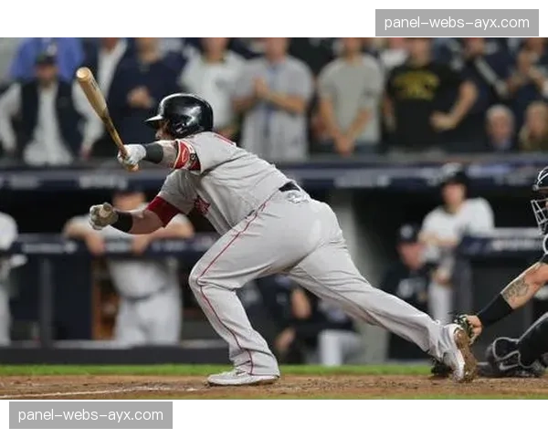 MLB常规赛五月焦点战：扬基队逆转红袜，赛场冲突导致三人被驱逐